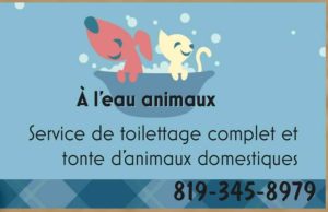 À L'EAU ANIMAUX
