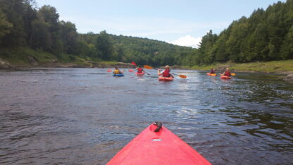 Randonnée guidée canot/kayak (3 h) avec guide-Canot Kayak Richmond - Image 3