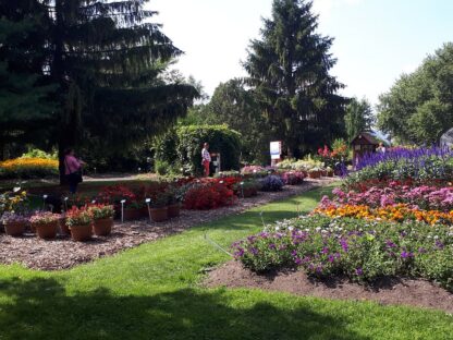 Carte Club Familiale - Jardin Daniel A. Séguin - Image 4