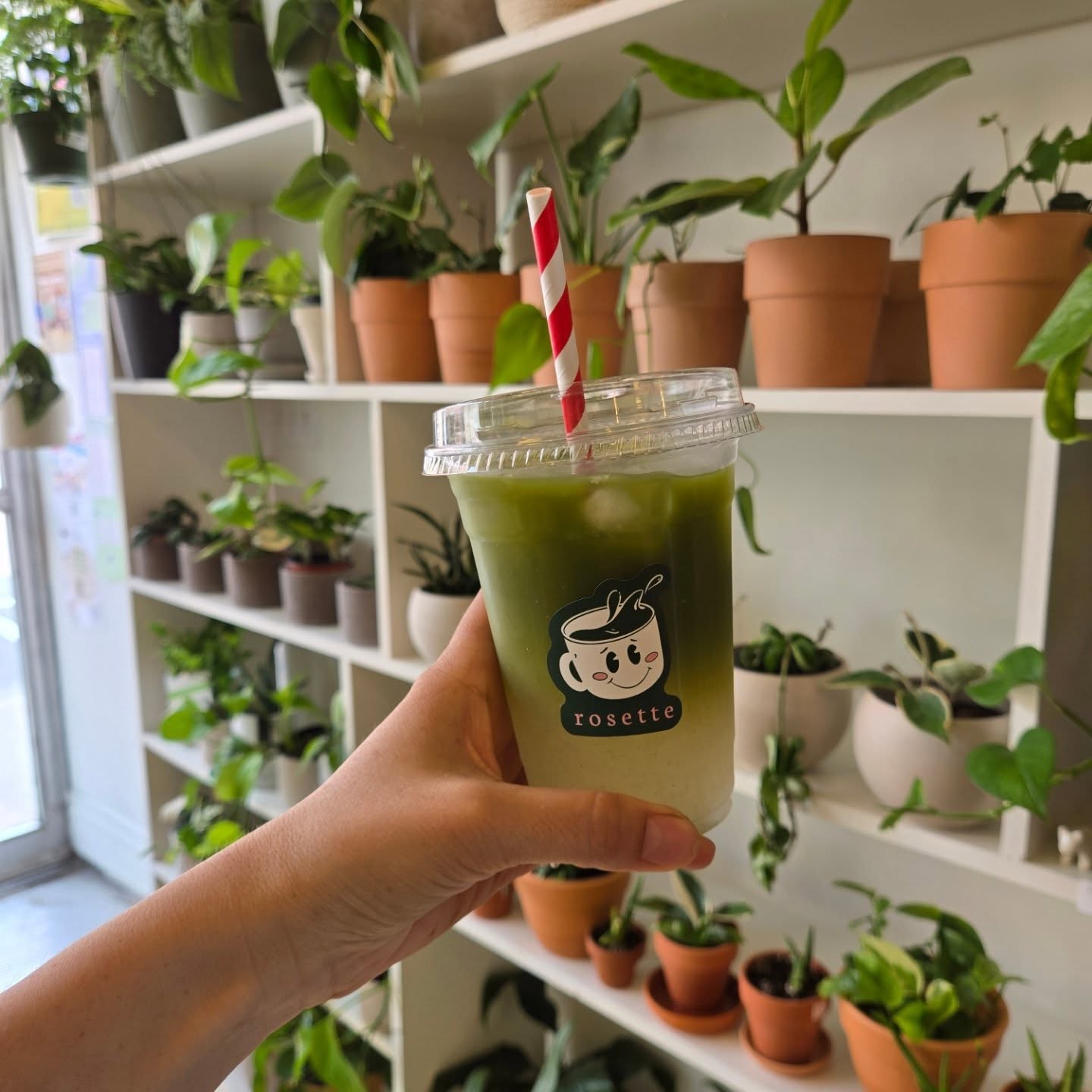 Chèque-cadeau de 25$ - Restaurant-Café Rosette – Image 5